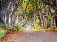 Shared Tour: Game of Thrones Westeros Tour